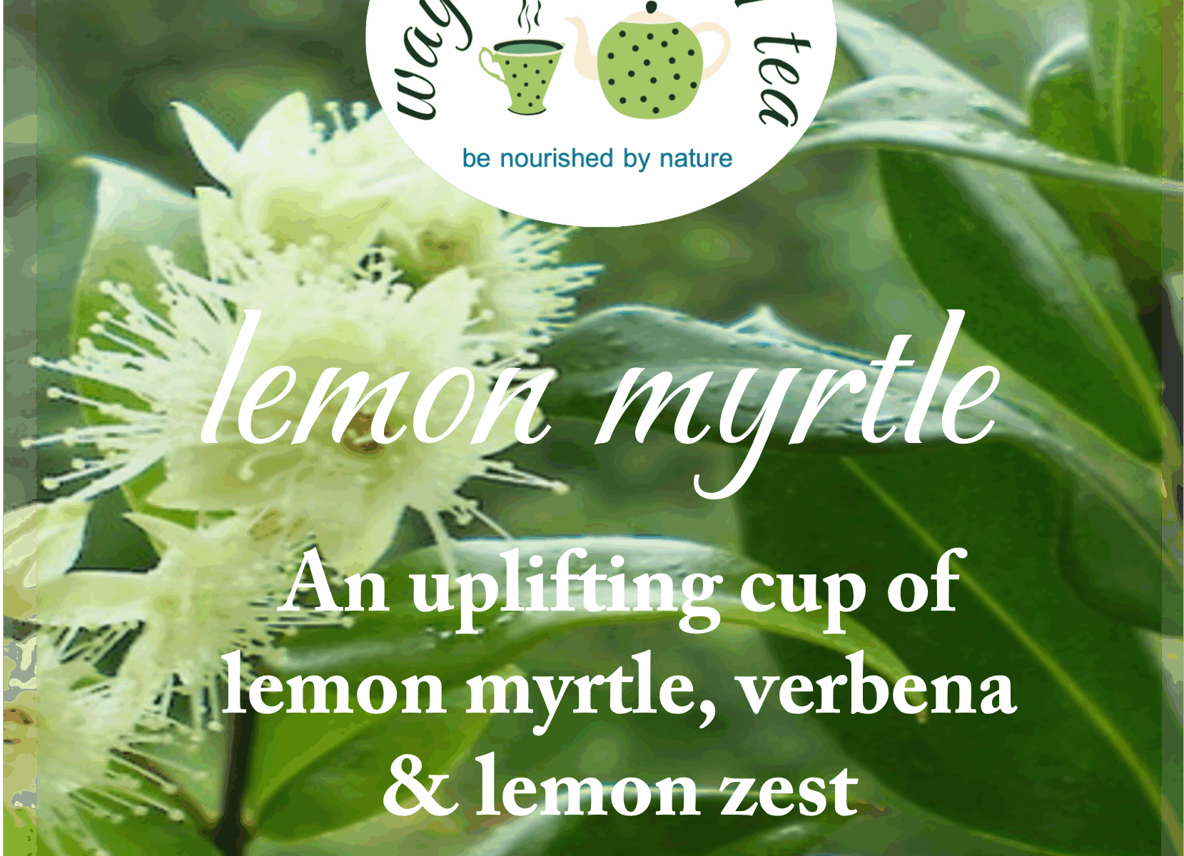 Lemon myrtle tea