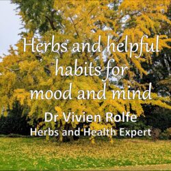 Mood and mind book