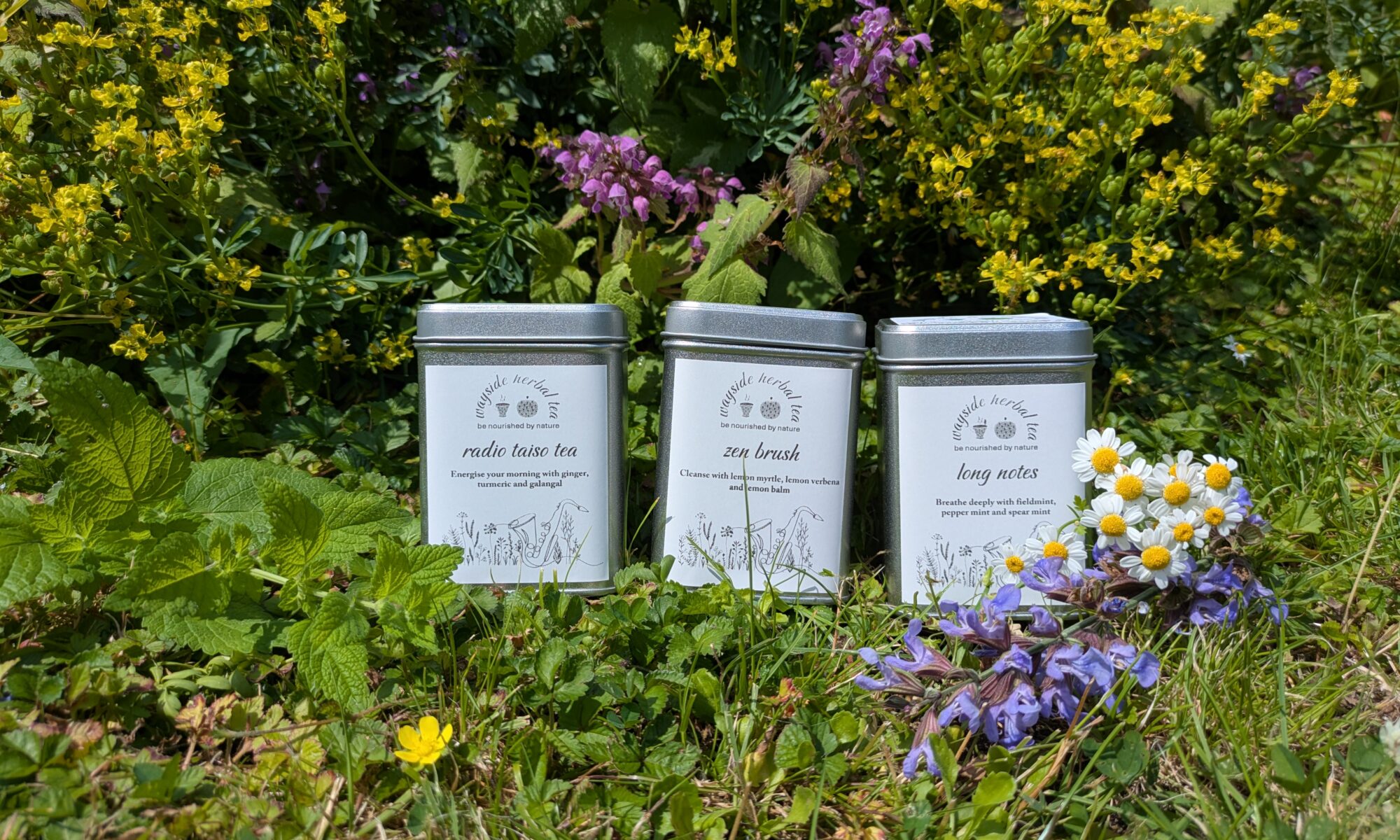 Tea tins